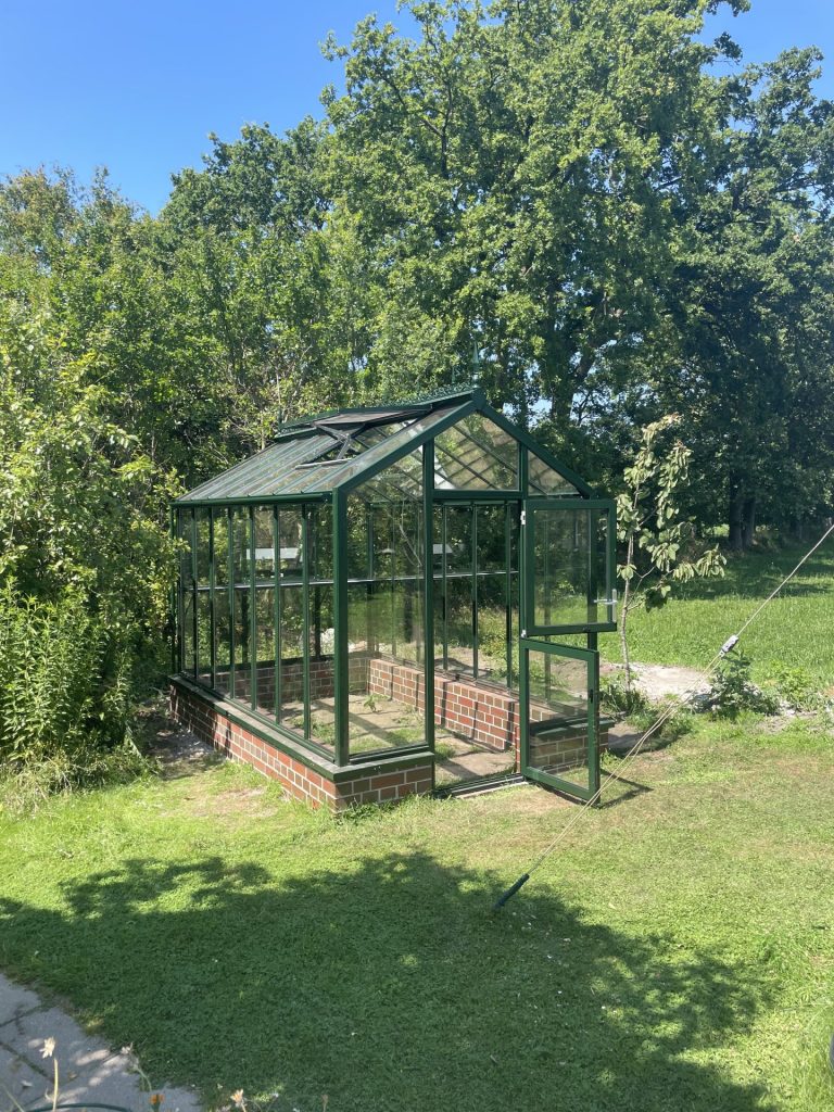 Gewächshaus im grünen Garten